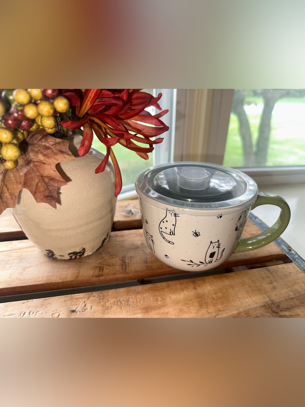 AmorArc 24 Oz. Cat Ceramic Soup Mug with Lid & Handle, Stoneware Bowls ~ New - Picture 3 of 6